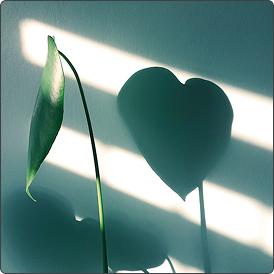 Plant leaf as a visual metaphor for family and friends